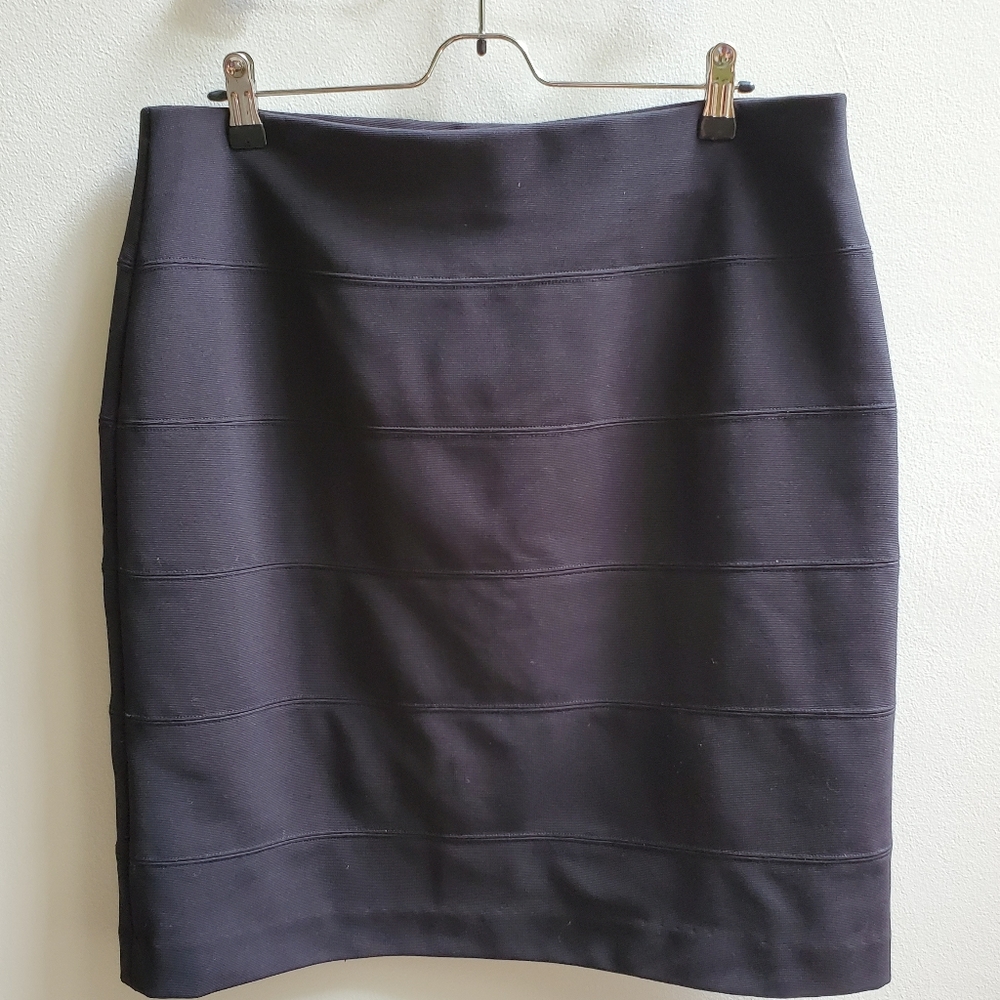 ALFANI Skirt